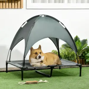 Lit surélevé avec auvent pour chien, idéal extérieur
