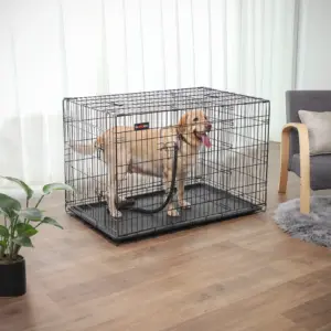 Grande cage pliable deux portes pour chien, taille XXL