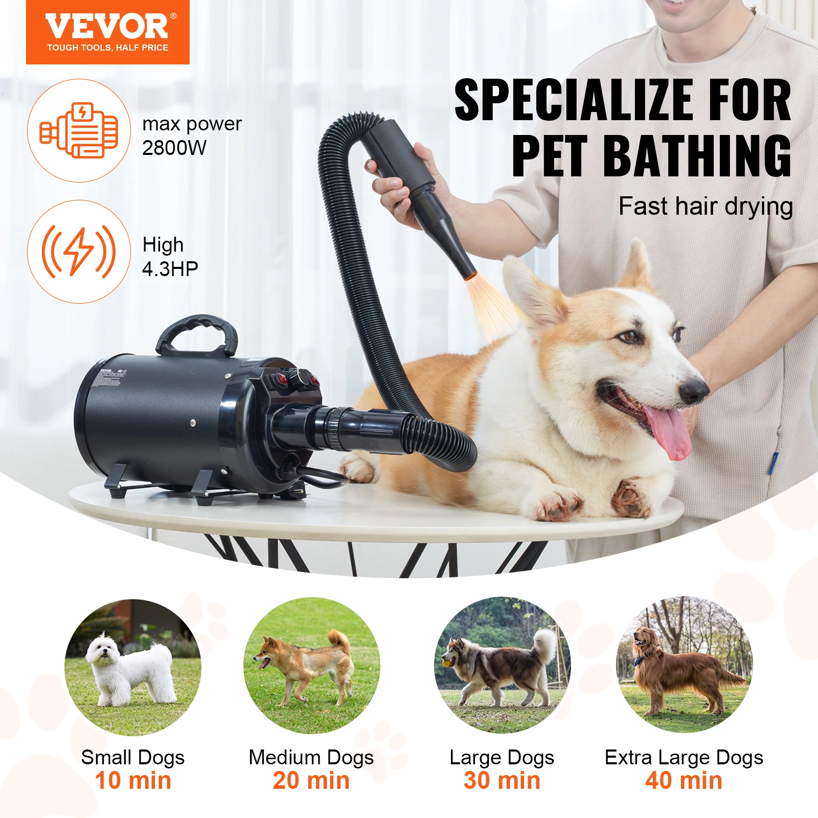 Sèche-poils professionnel 2000W pour chien avec vitesses et 4 buses – Image 2
