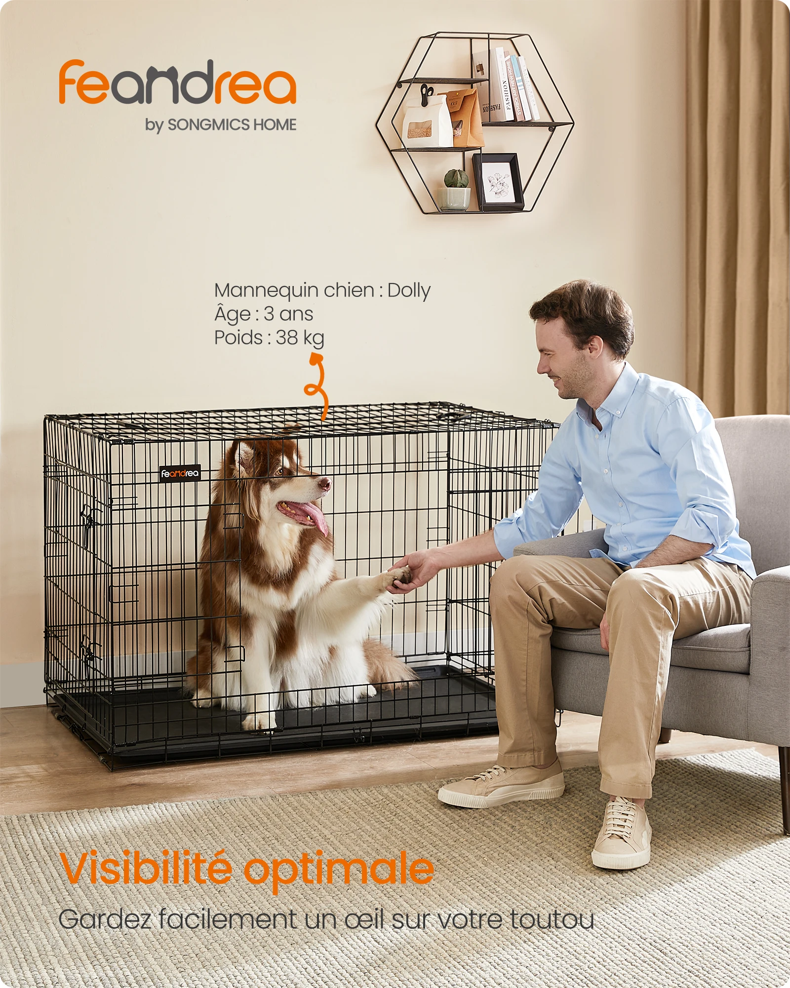 Grande cage pliable deux portes pour chien, taille XXL – Image 4