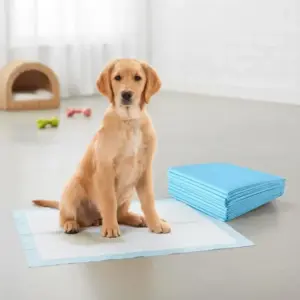 Coussinets absorbants extra larges pour chiots et chiens
