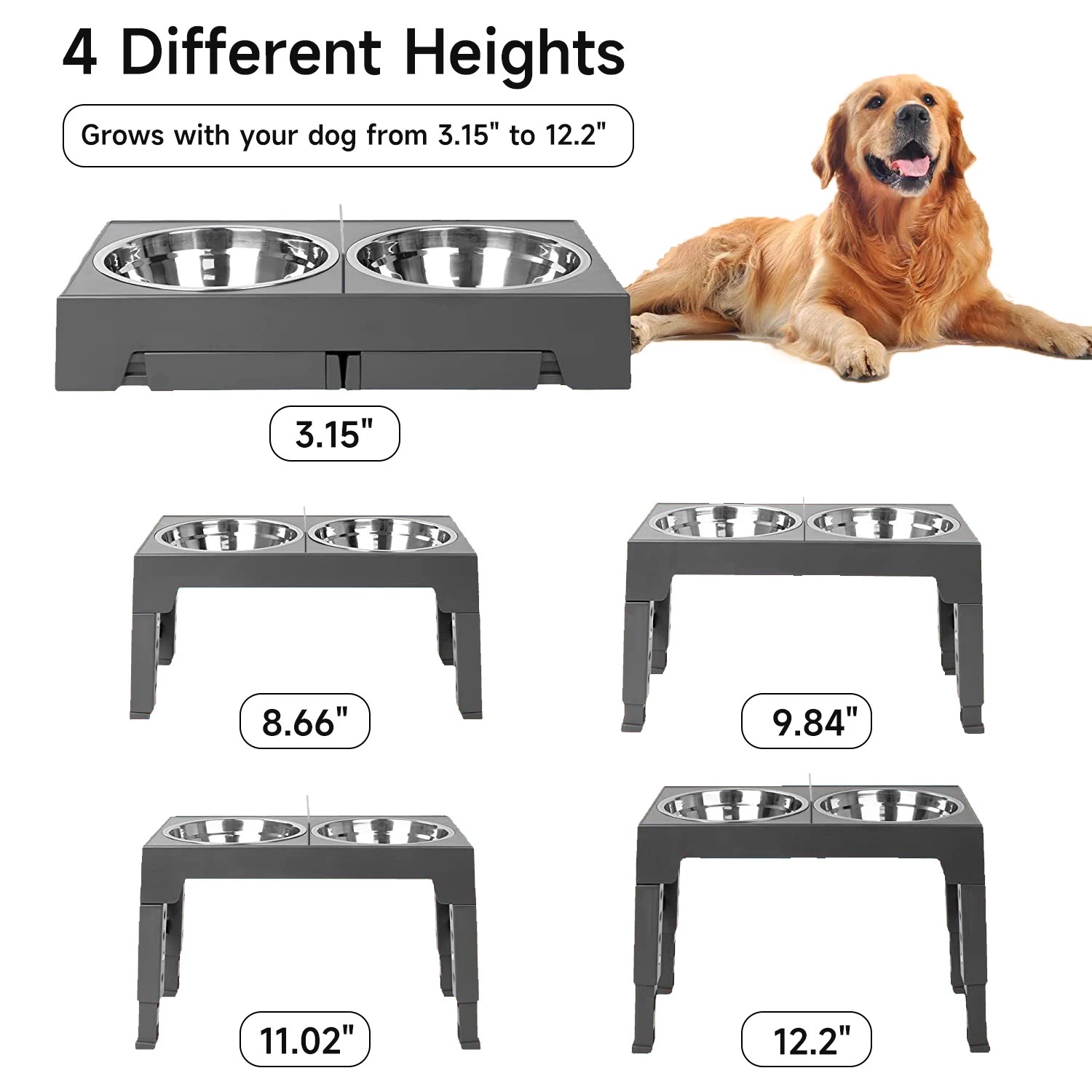 Bols surélevés pliables pour chiens, acier inoxydable – Image 2