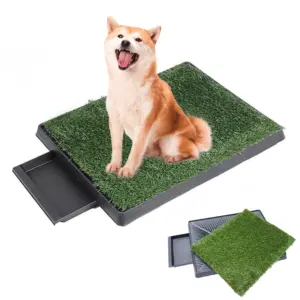 Toilette pour chiot avec bac de drainage et tapis d'apprentissage