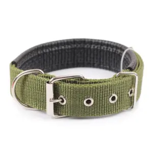 Collier solide en nylon pour petits, moyens et grands chiens