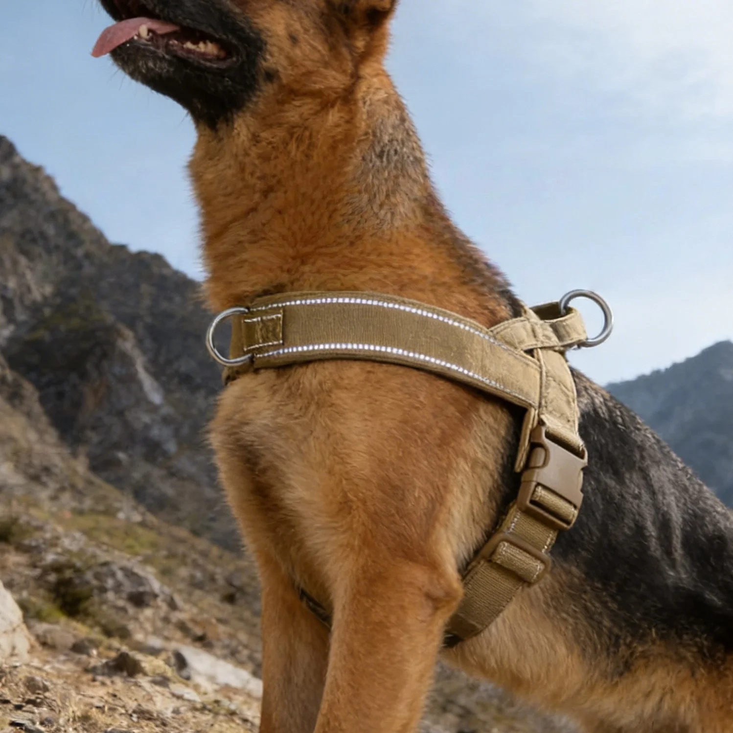 Harnais tactique anti-traction rembourré pour chien de grande race – Image 2